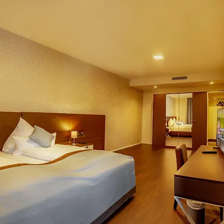 Trip Conference & 4* וצלאר