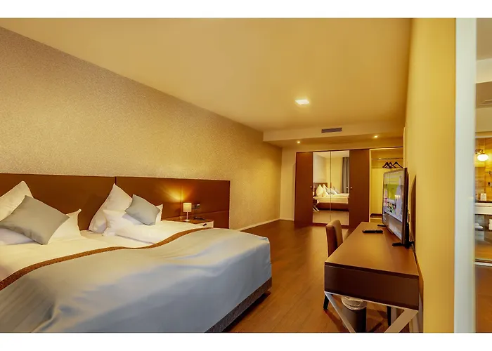 Trip Conference & 베츨러