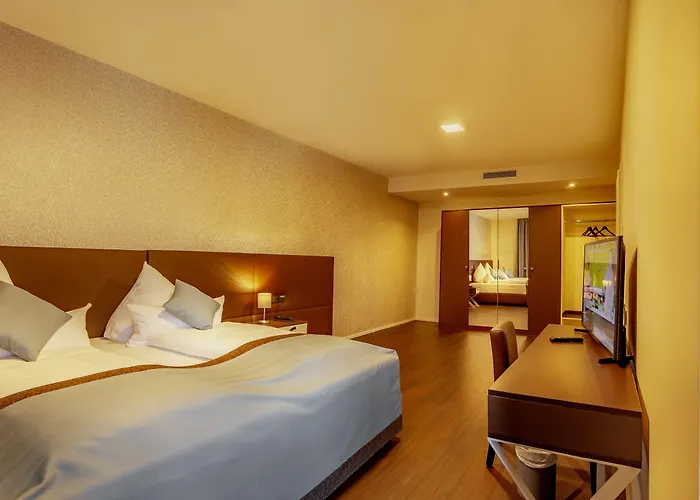 Trip Conference & 4* 베츨러