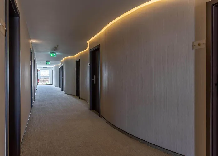 Trip Conference & 베츨러