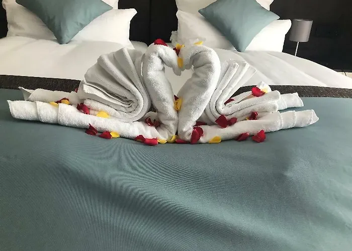 Trip Conference & 4* 베츨러